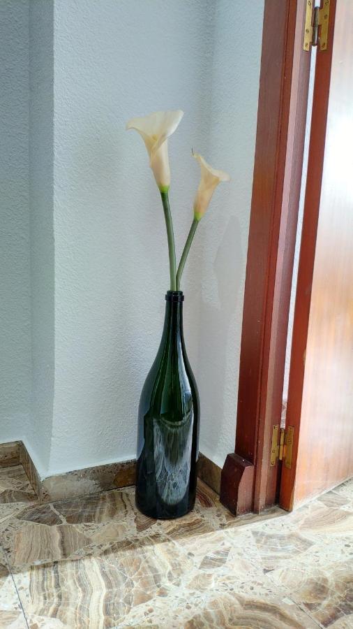 Perfect Apartment Near The Beach Alicante Buitenkant foto